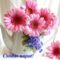 ksrent47b2wh