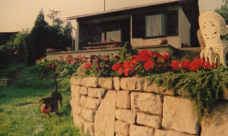 Riki / szeretek labdázni/