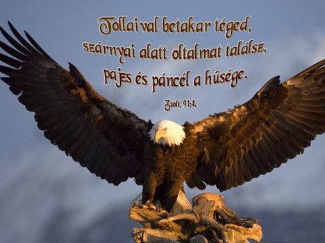 Jézus Krisztus az Út, az Igazság és az Élet 21
