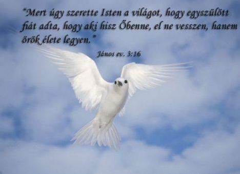 Jézus Krisztus az Út, az Igazság és az Élet 25