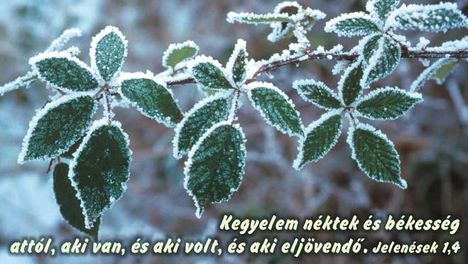 Jézus Krisztus az Út, az Igazság és az Élet 28