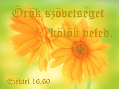 Jézus Krisztus az Út, az Igazság és az Élet 31