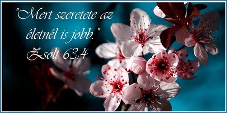 Jézus Krisztus az Út, az Igazság és az Élet 33