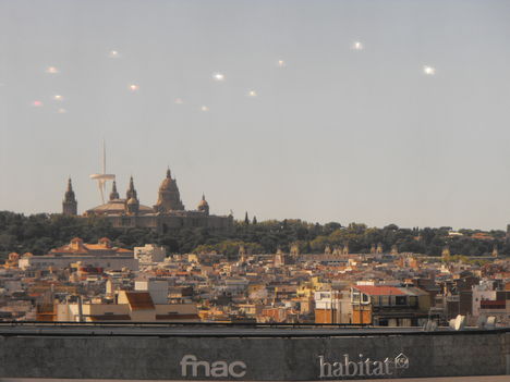 DSCF7439