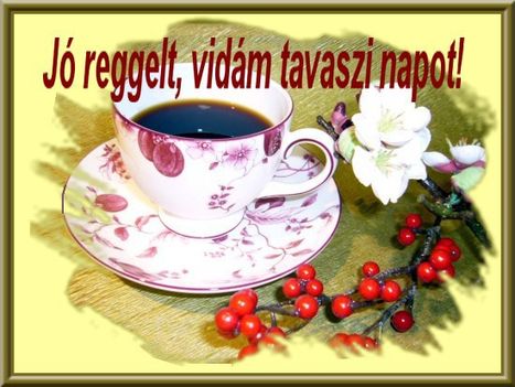 kívánságok és egyebek 11