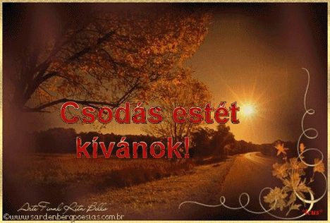 kívánságok és egyebek 4