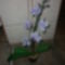 Lila pettyes orchidea