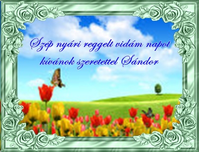 Saját készitésü kép 5