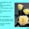 Gondolat_morzsak_1242368_4822_s