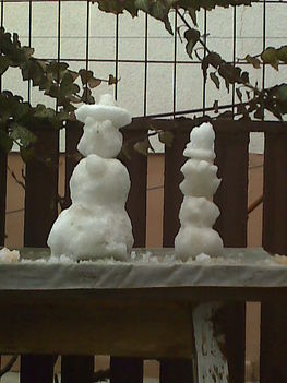 Kép0040