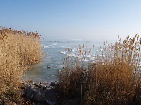 Kép 015