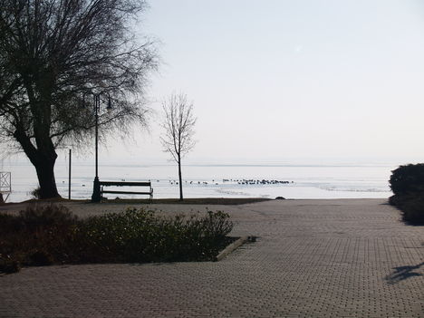 Kép 027