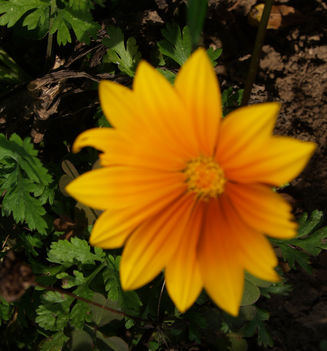 Kép 058
