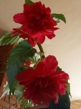 Kép 067-1