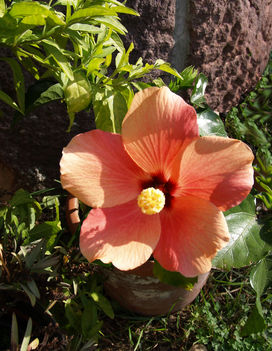 Kép 067