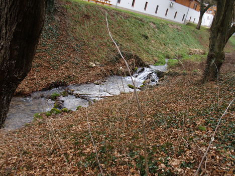 Kép 104