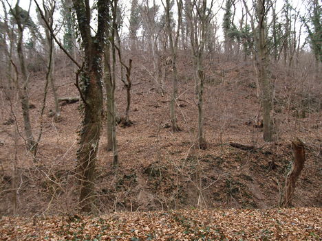 Kép 106