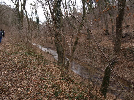 Kép 107