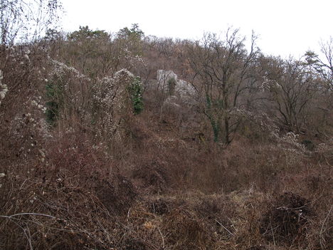 Kép 112