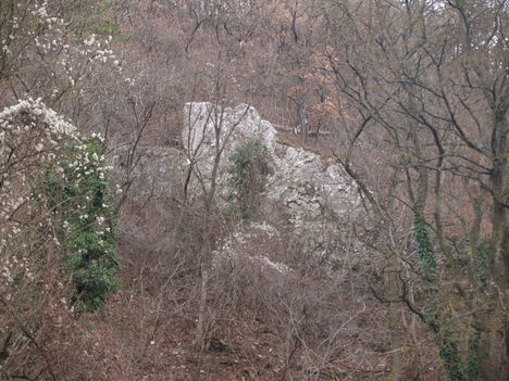Kép 113