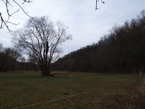Kép 129