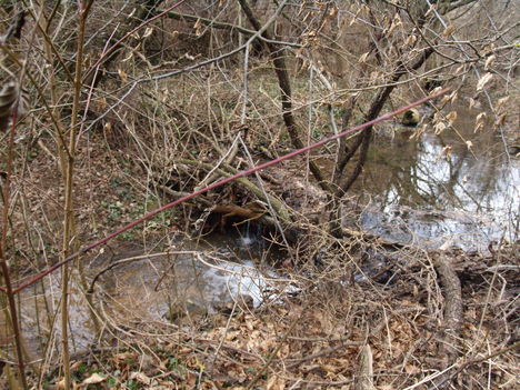 Kép 133
