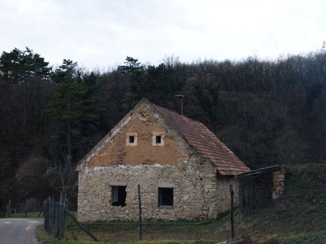 Kép 138