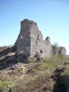 Képecske 481