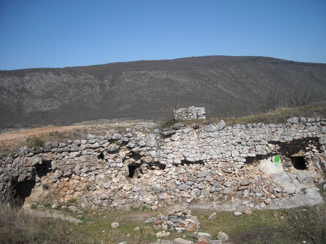 Képecske 482
