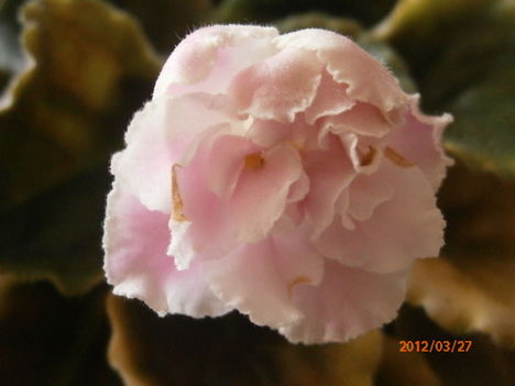 P3270003