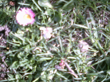 PICT0003