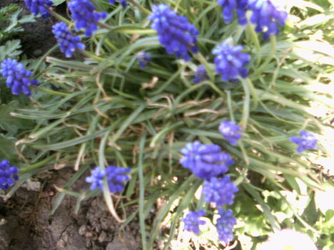 PICT0004
