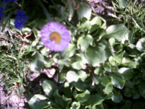 PICT0005