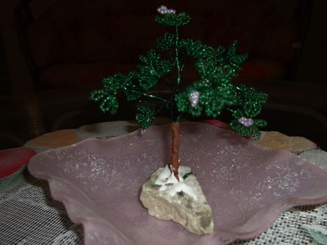 bonsai fa