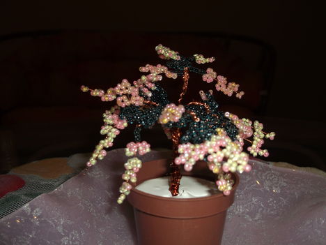 bonsai fa