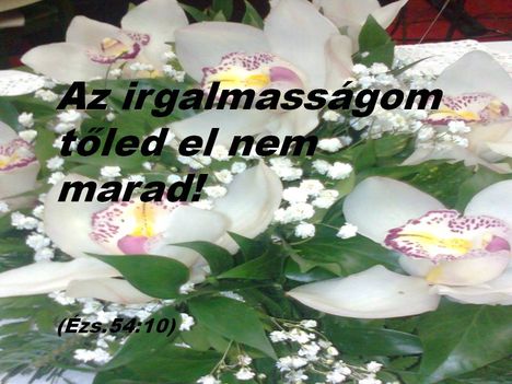 ilyen_az_isten_1376119_3270_n