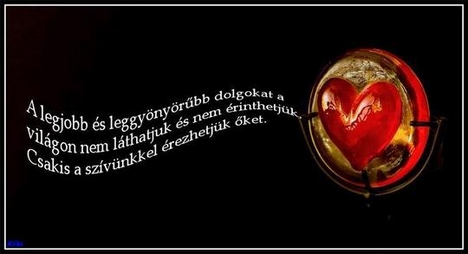 Szív