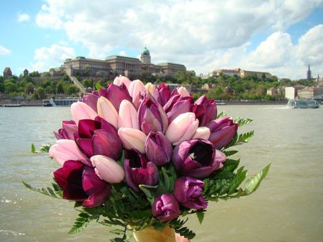 virágcsokor,Vár,Duna