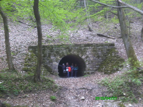 bebujva