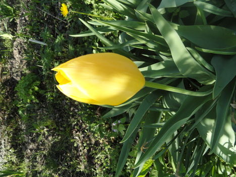 DSC07718