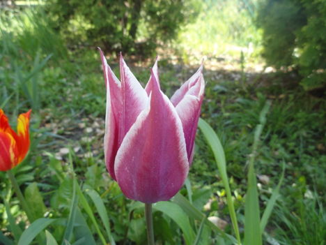 DSC07728
