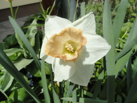 DSC07761