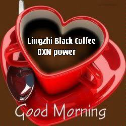 Lingzhi Black koffee