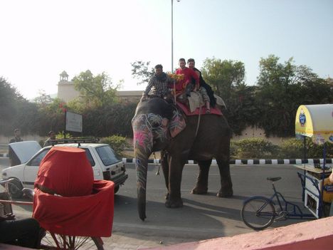India 2012 17