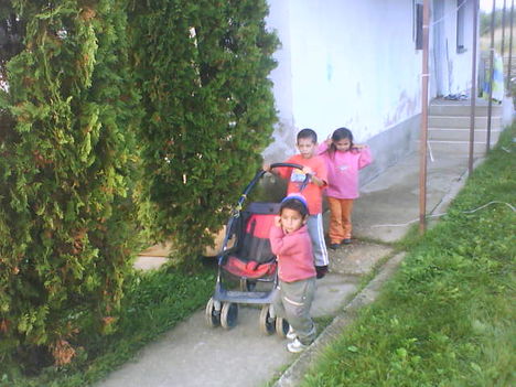 DSC00002
