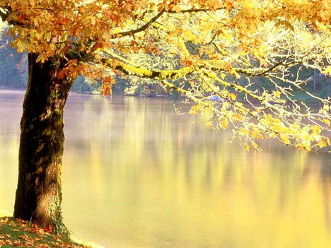 Autumn123_9