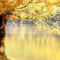 Autumn123_9