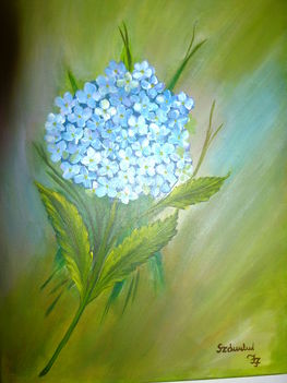 Hortenzia