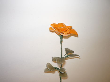 rózsa003