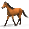 3t3